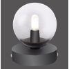 Paul Neuhaus WIDOW Table lamp LED matt nickel, black, 1-light source