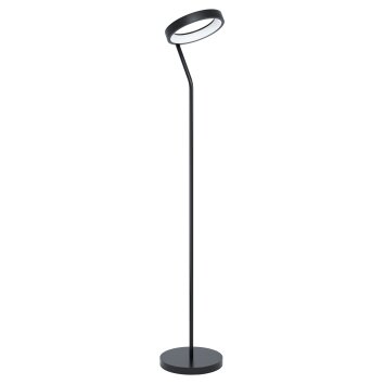 Eglo MARGHERA Floor Lamp LED black, 1-light source, Colour changer