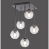 Paul Neuhaus WIDOW Ceiling Light LED black, 5-light sources