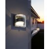 Lutec DELTA Outdoor Wall Light LED anthracite, 1-light source