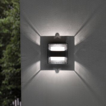 Lutec DELTA Outdoor Wall Light LED anthracite, 1-light source