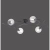 Paul Neuhaus WIDOW Ceiling Light LED black, 4-light sources