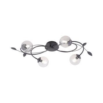Paul Neuhaus WIDOW Ceiling Light LED black, 4-light sources