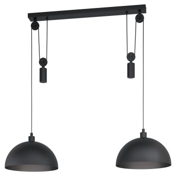 Eglo WINKWORTH Pendant Light black, 2-light sources