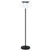 Eglo BRIAGLIA Floor Lamp LED black, 1-light source, Colour changer
