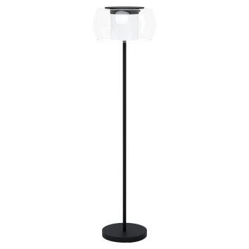 Eglo BRIAGLIA Floor Lamp LED black, 1-light source, Colour changer