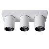Lucide NIGEL ceiling spotlight LED white, 3-light sources