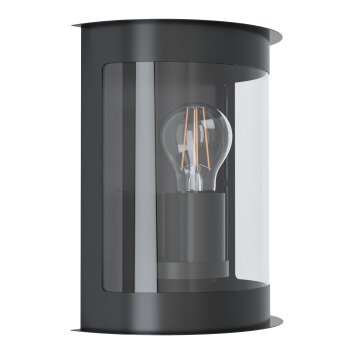 Eglo DARIL Outdoor Wall Light black, 1-light source