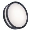 Lutec ROLA Wall Light LED anthracite, 1-light source
