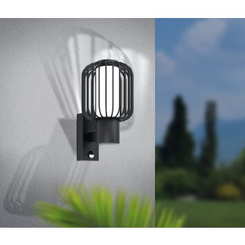 Eglo RAVELLO Outdoor Wall Light black, 1-light source, Motion sensor