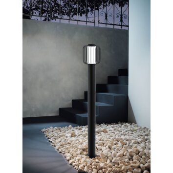 Eglo RAVELLO path light black, 1-light source
