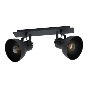 Eglo BARNSTAPLE Ceiling Light black, 2-light sources