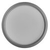 Nordlux AVA outdoor ceiling light LED grey, 1-light source