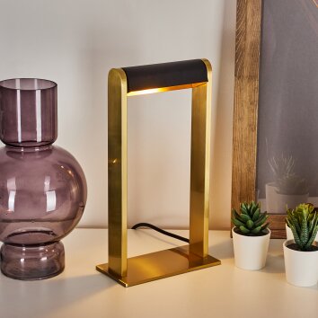 DENHIGH Table lamp LED gold, brass, black, 1-light source