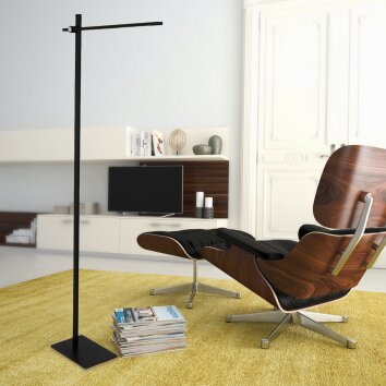 Steinhauer STEKK Floor Lamp LED black, white, 1-light source