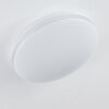 NIEBLA Ceiling Light LED white, 1-light source