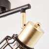 Brilliant POSCA Spotlight brass, black, 2-light sources
