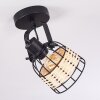 RECINTO Ceiling Light black, 1-light source