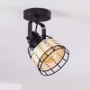 RECINTO Ceiling Light black, 1-light source