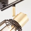 Brilliant POSCA Spotlight brass, black, 4-light sources