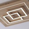 Paul Neuhaus Q-LINEA Ceiling Light LED Light wood, 4-light sources, Remote control