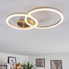MALANJE Ceiling Light LED matt nickel, 2-light sources