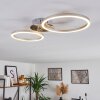 MALANJE Ceiling Light LED matt nickel, 2-light sources