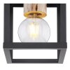Globo HAGAR Ceiling Light black, 1-light source