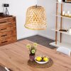 CIUSA Pendant Light matt nickel, 1-light source