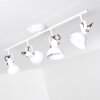 TINA ceiling light white, 4-light sources
