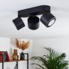 APPLETON Ceiling Light LED black, 3-light sources