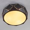 SHOUVER Ceiling Light black, white, 3-light sources