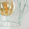ZAREMBO Pendant Light green, 1-light source