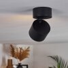 APPLETON Ceiling Light LED black, 1-light source