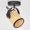 BROEKERHAVEN Ceiling Light black, 1-light source