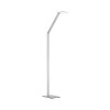 Paul Neuhaus Q-HANNES Floor Lamp LED silver, 1-light source, Remote control