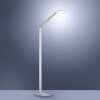 Paul Neuhaus Q-HANNES Floor Lamp LED silver, 1-light source, Remote control