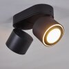 APPLETON Ceiling Light LED black, 2-light sources
