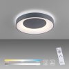 Leuchten-Direkt ANIKA Ceiling Light LED anthracite, 1-light source, Remote control