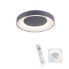 Leuchten-Direkt ANIKA Ceiling Light LED anthracite, 1-light source, Remote control