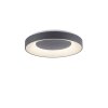Leuchten-Direkt ANIKA Ceiling Light LED anthracite, 1-light source, Remote control