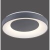Leuchten-Direkt ANIKA Ceiling Light LED anthracite, 1-light source, Remote control