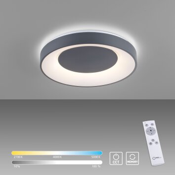 Leuchten-Direkt ANIKA Ceiling Light LED anthracite, 1-light source, Remote control