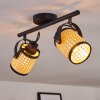 BROEKERHAVEN Ceiling Light black, 2-light sources
