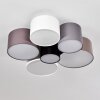 Payette Ceiling Light brown, grey, black, white, 6-light sources