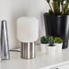 KEPPOCH Table lamp matt nickel, 1-light source