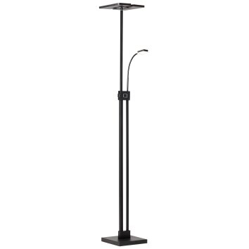 Brilliant FORRESTER Floor Lamp LED black, 2-light sources