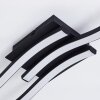 Grossari Ceiling Light LED black, 3-light sources