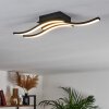 Grossari Ceiling Light LED black, 3-light sources