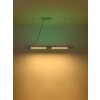 Globo HODARI Pendant Light LED white, 1-light source, Remote control, Colour changer